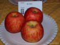 Rubín